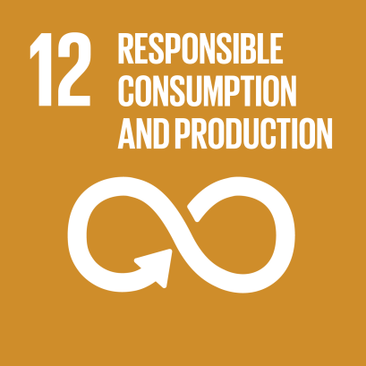 SDG 12 Responsebele consumption and production