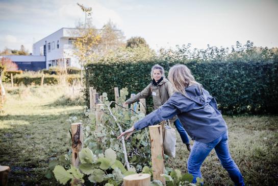 Leerkrachten werken in de tuin